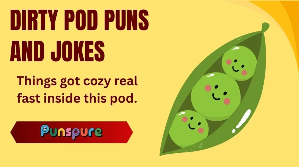 Dirty Pod Puns and Jokes