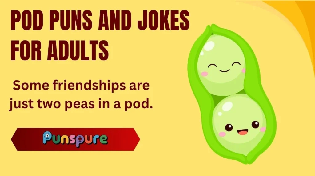Pod Puns and Jokes for Adults