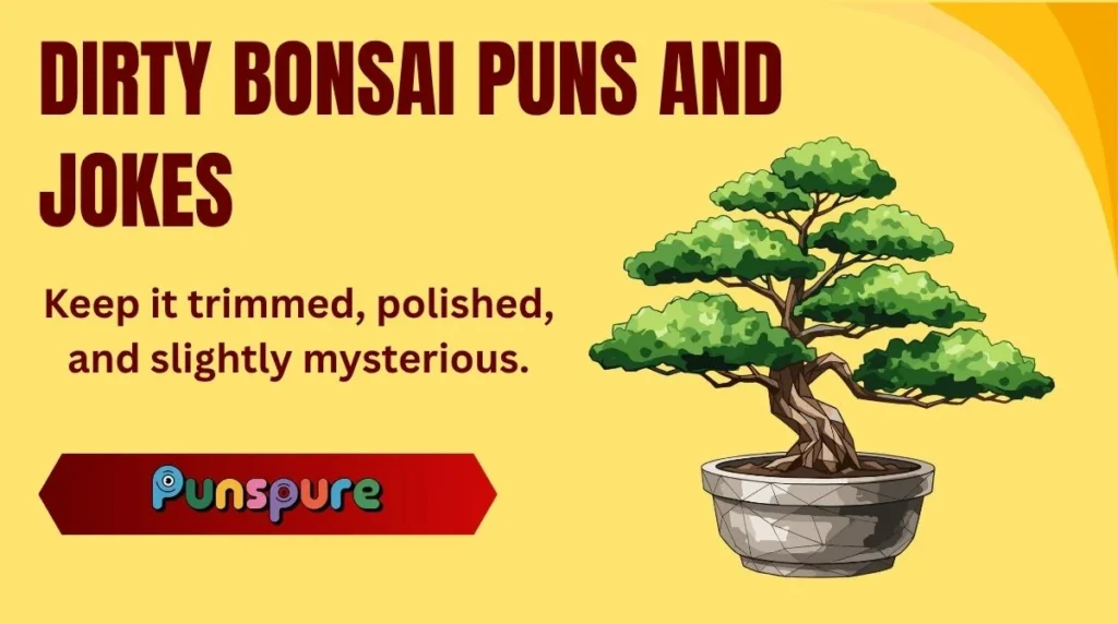 bonsai pomegranate tree Dwarf Pomegranate Bonsai Tree