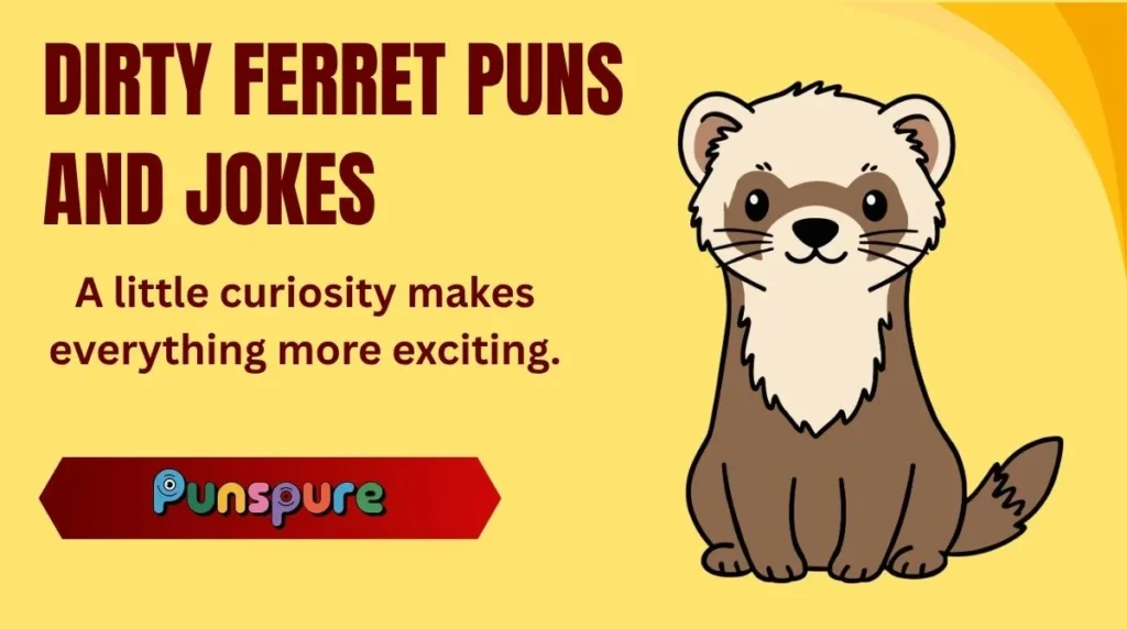 Dirty Ferret Puns and Jokes
