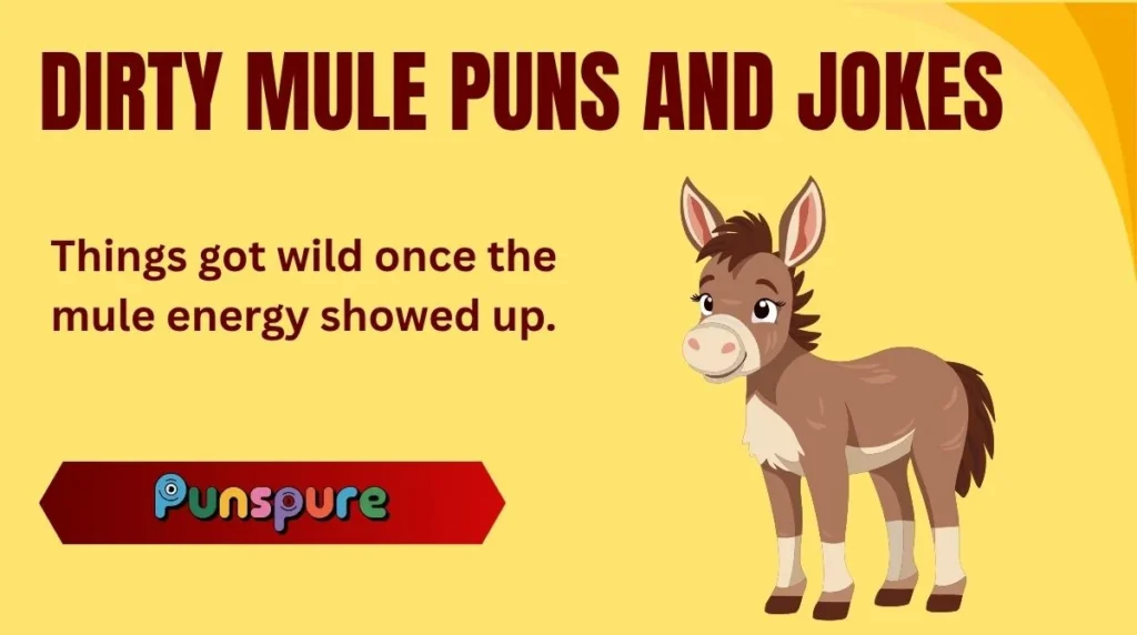Dirty Mule Puns and Jokes