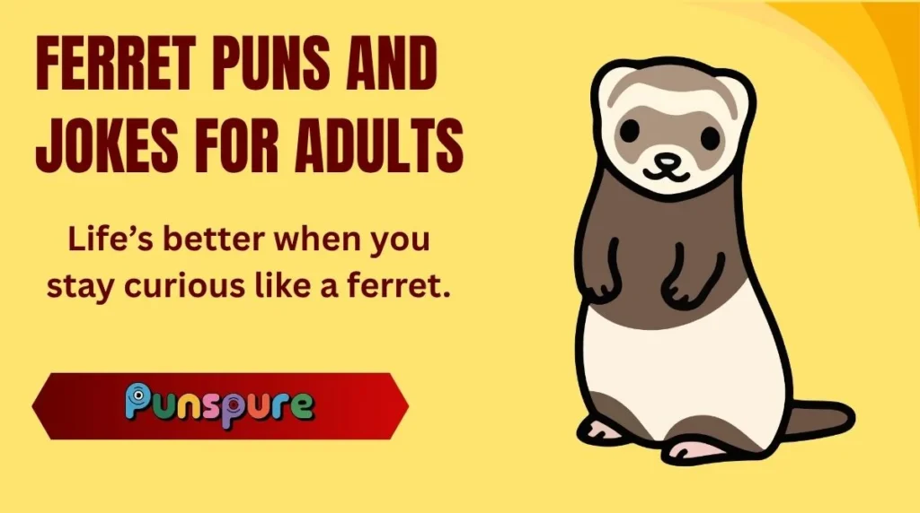 Ferret Puns and Jokes for Adults