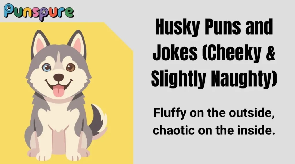 Husky Puns and Jokes (Cheeky & Slightly Naughty)