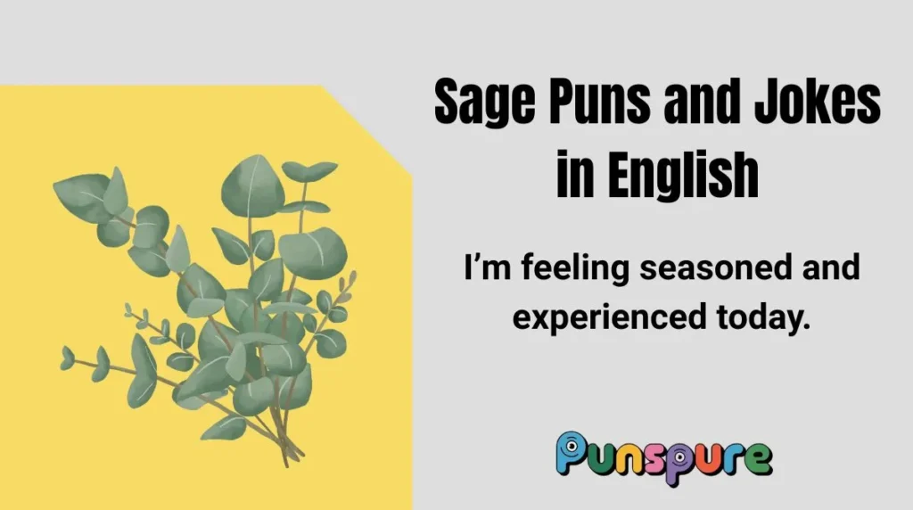 Sage Puns and Jokes in English