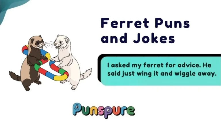 Ferret Puns and Jokes
