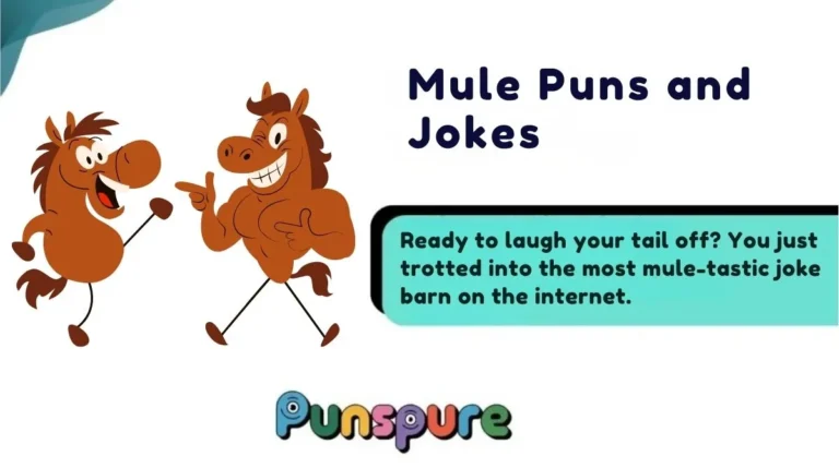 Mule Puns and Jokes