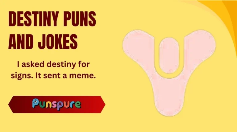 Destiny Puns and Jokes