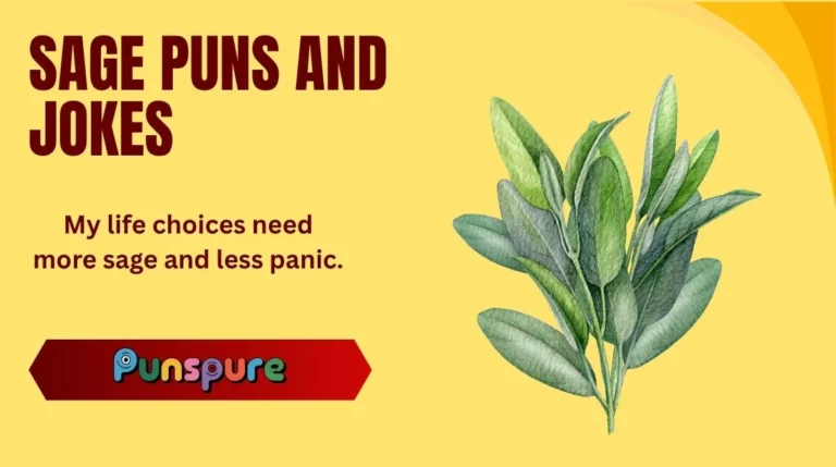 Sage Puns and Jokes